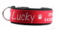 Mobile Preview: Besticktes Halsband - Modell "Lucky"